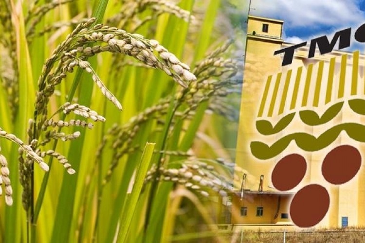 TMO'dan dolandırıcılık uyarısı