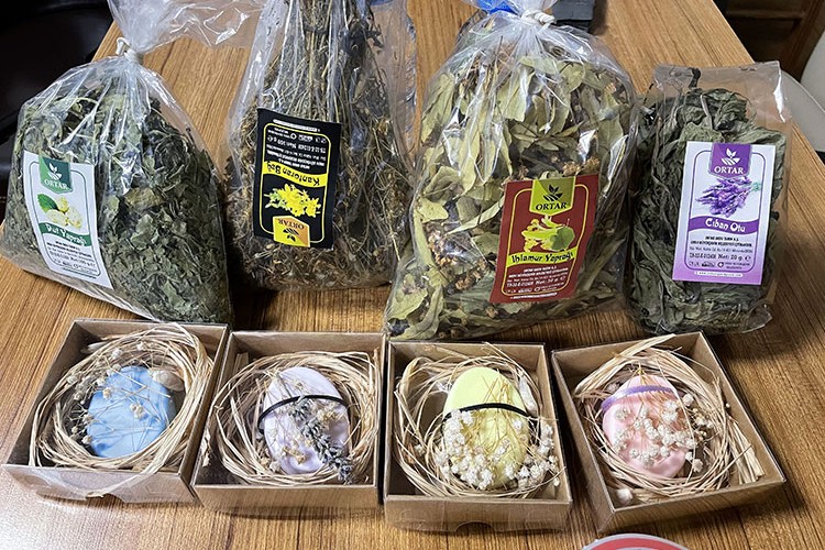Ordu tıbbi ve aromatik bitki yetiştiriciliğinde öne çıkacak