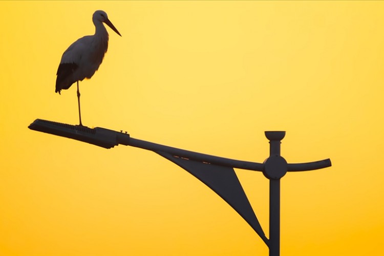 Genel aydınlatmada kullanılan 140 bin LED armatürle 82 milyon lira tasarruf yapıldı