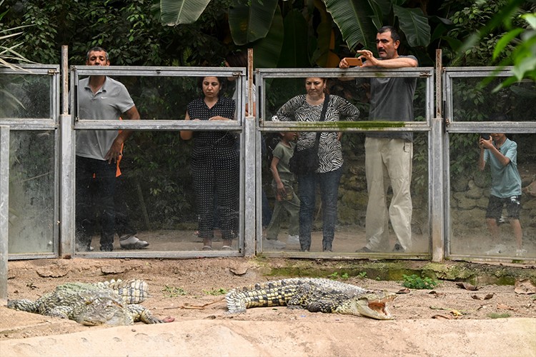 Bayramda çocuklu ailelerin tercihi İzmir Doğal Yaşam Parkı oldu
