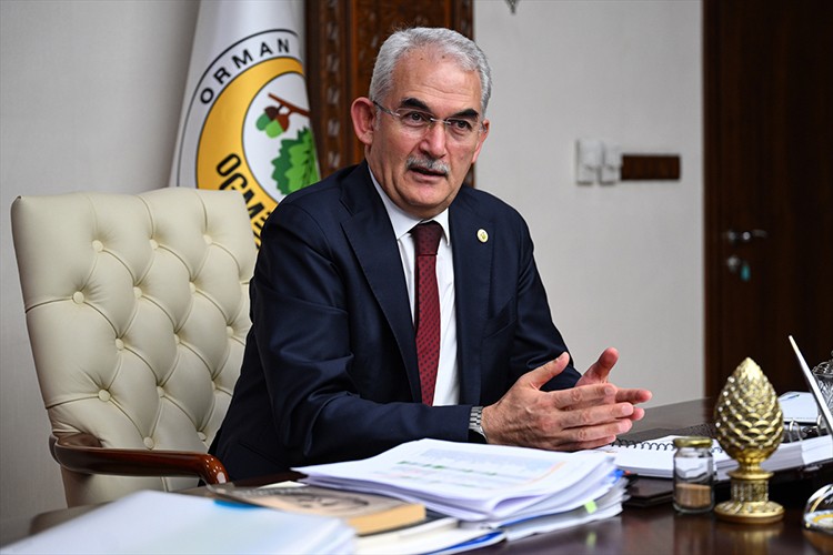 600 milyon fidanın toprakla buluşturulması hedefleniyor