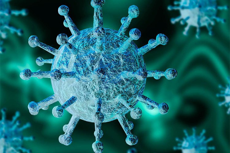 Ekonomik öngörü anketi