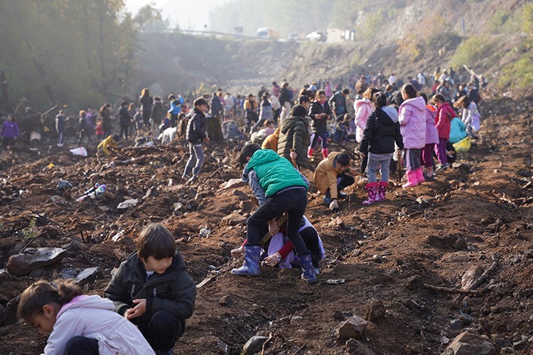 Marmaris'in ağaçlandırılmasına destek oldu