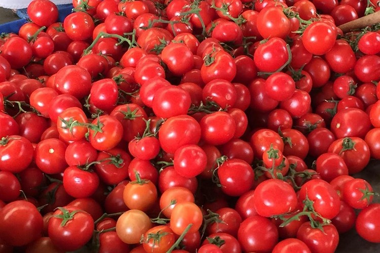 60 ton geri gönderildi