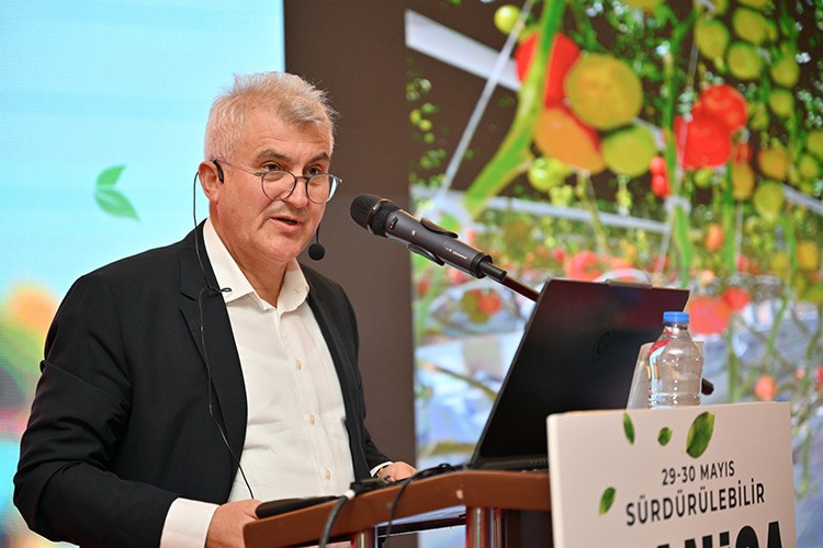 Türkiye'nin jeotermal sera alanı % 1500 büyüyebilir