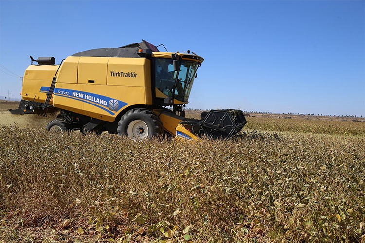 Soya ekim alanı 33 bin dekara yükseldi
