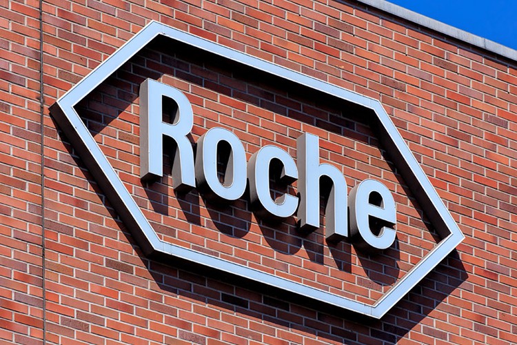 Roche MS hastalarına desteğini sürdürüyor