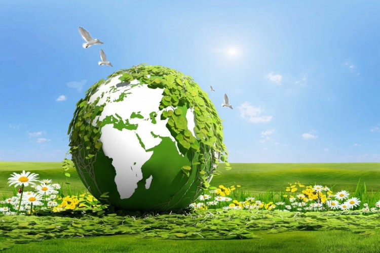 Çevreyi korumaya geçen yıl 140,3 milyar lira harcandı