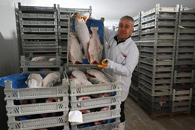 Kayseri'de üretilen Türk somonunun yüzde 98'i ihraç ediliyor