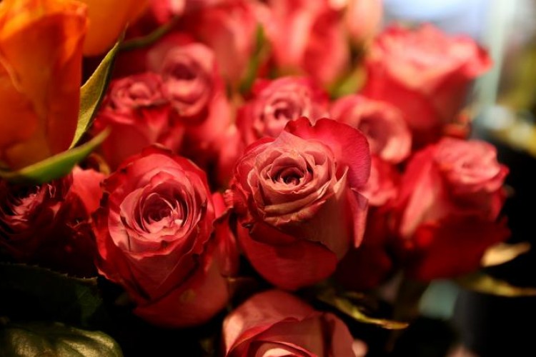 Gülde 5 yıllık ticaret hacmi 16,5 milyon dolar oldu