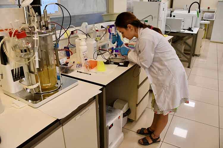 Tarımda verimi artıracak mikrobiyal gübre geliştirildi