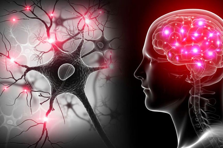 "Beyin Sinyallerini Anlamak Kişiye Özel Eğitim Çözümlerinin Kapısını Aralıyor"