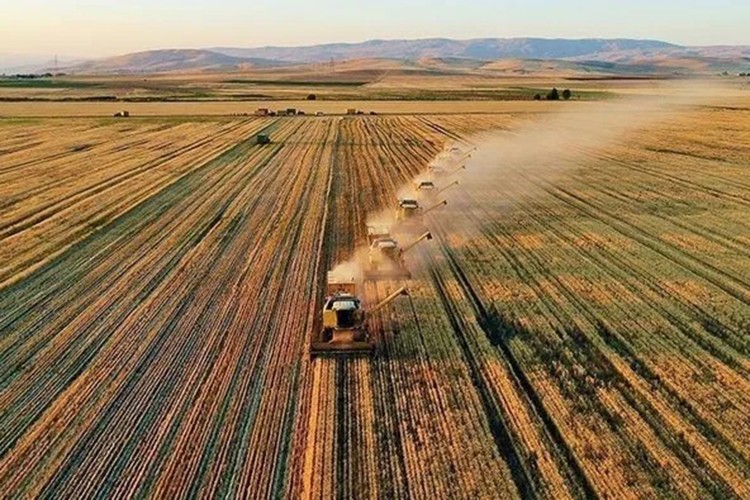 Yağışlar tarımsal üretimi destekledi