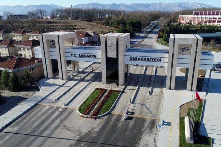 Akademisyen alınacak