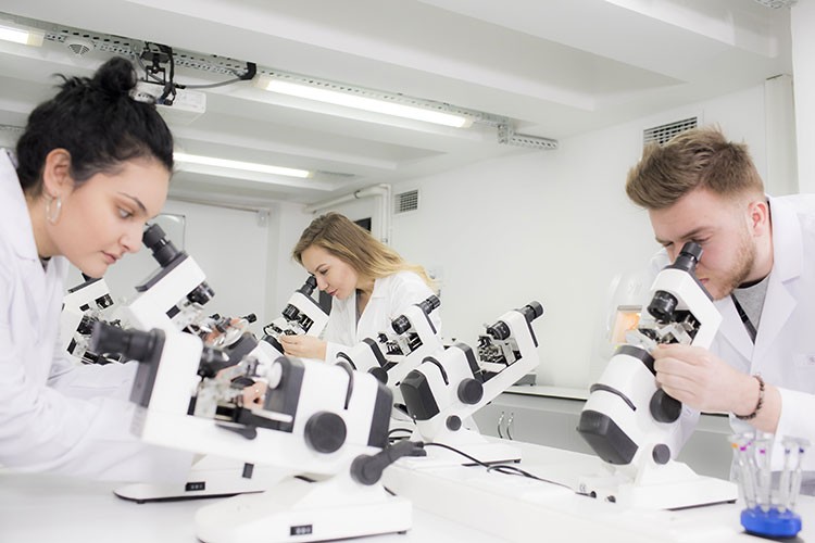 Bilgi'de 'Tercih Günleri' başlıyor