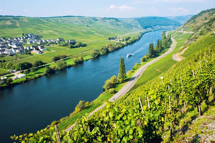 Almanya'da tarım ürünleri üretici fiyatları düşüyor