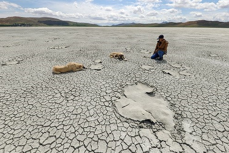 Kuraklık 10 yıllık ortalamanın yüzde 10 üzerine çıktı