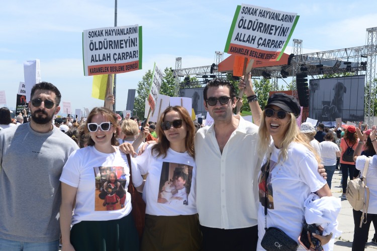 Ünlülerden sokak hayvanlarına destek yağmuru