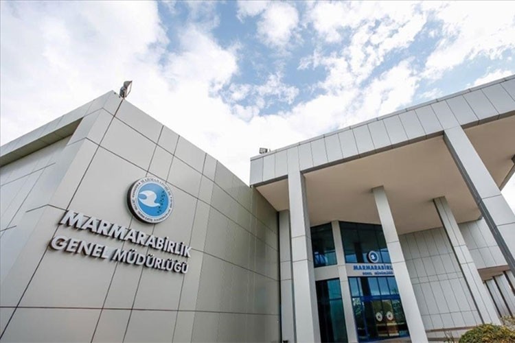 Marmarabirlik üreticiye 800 milyon lira ödeyecek