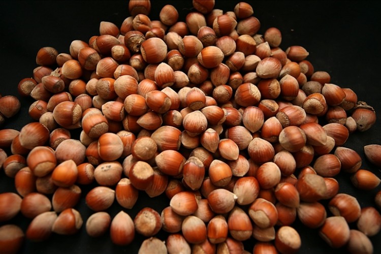 Doğu Karadeniz'den 6 ayda yaklaşık 793,5 milyon dolarlık ihracat yapıldı