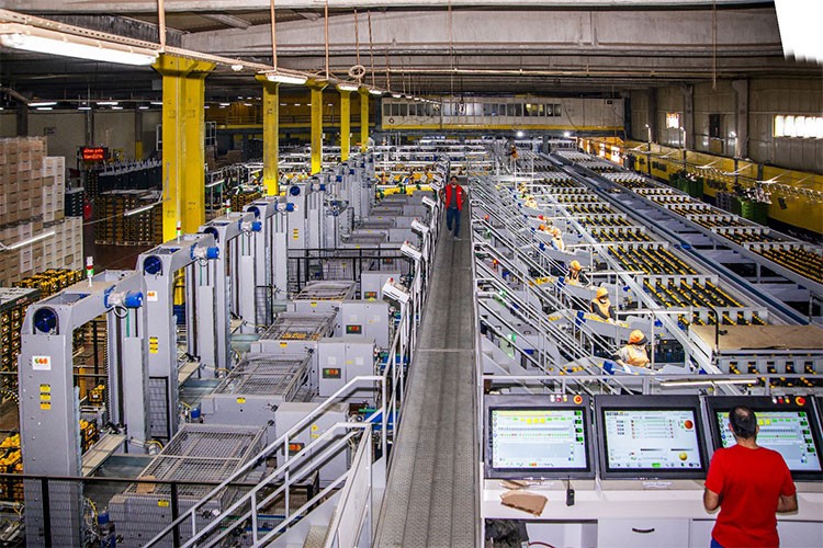 Altun Gıda halka arz başvurusu yaptı