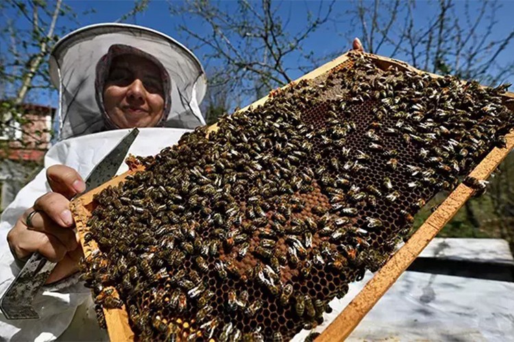 Ata mesleğini devletten aldığı destekle büyüttü