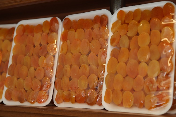 Malatya'dan 169,5 milyon dolarlık kuru kayısı ihraç edildi