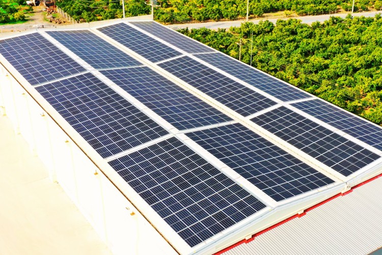 Yenilikçi çözümlerini tüketicilerin hizmetine sunuyor