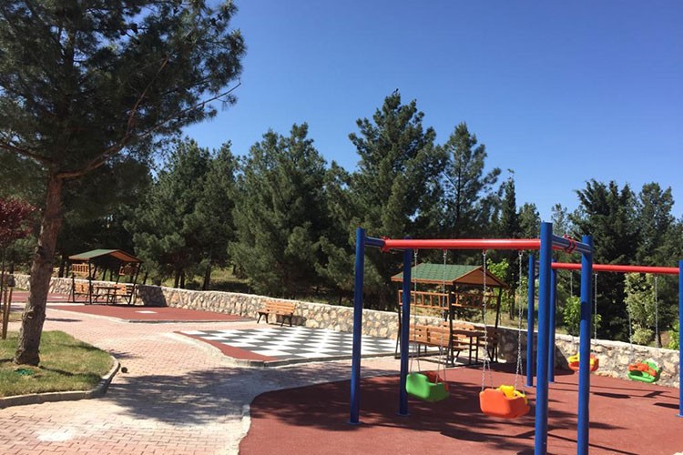 "Millet ormanı" sayısı bu yıl 19'a çıkacak