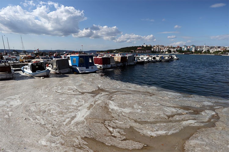 Marmara Denizi için "Müsilaj Bilim ve Teknik Kurulu" toplanıyor