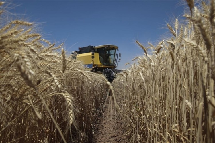 Yıllık yüzde 52,66 arttı