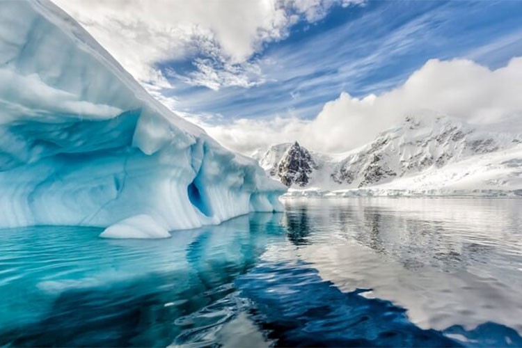 Antarktika'da 6 yeni bakteri cinsi keşfedildi