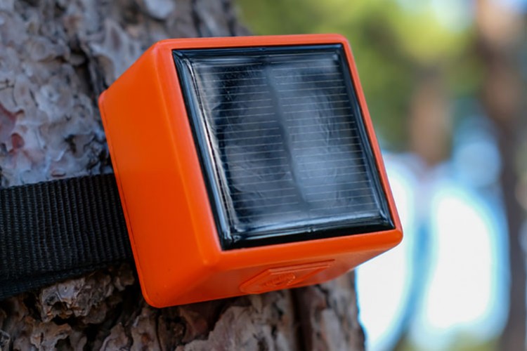 Yeni Yılda Akıllı Kozalaklar ile Orman Yangınlarını Önleyin!