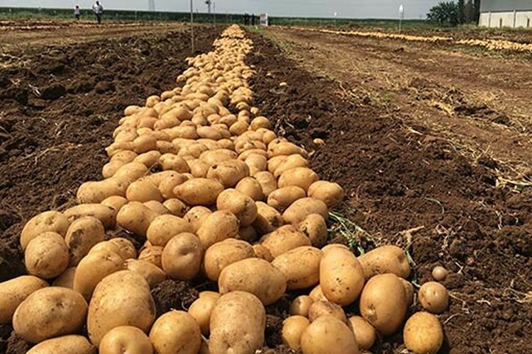 Üretimde ilk 10'dayız