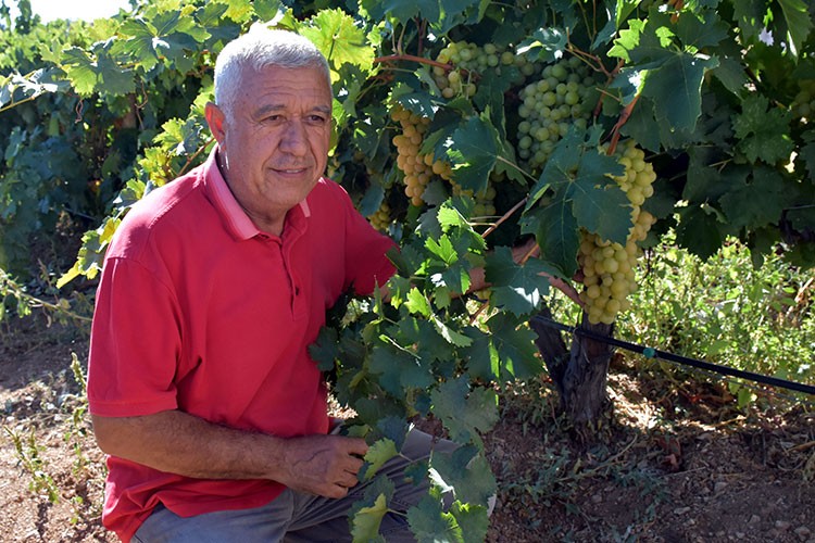 Üzüm bağı kuran emekli polis talebe yetişemiyor