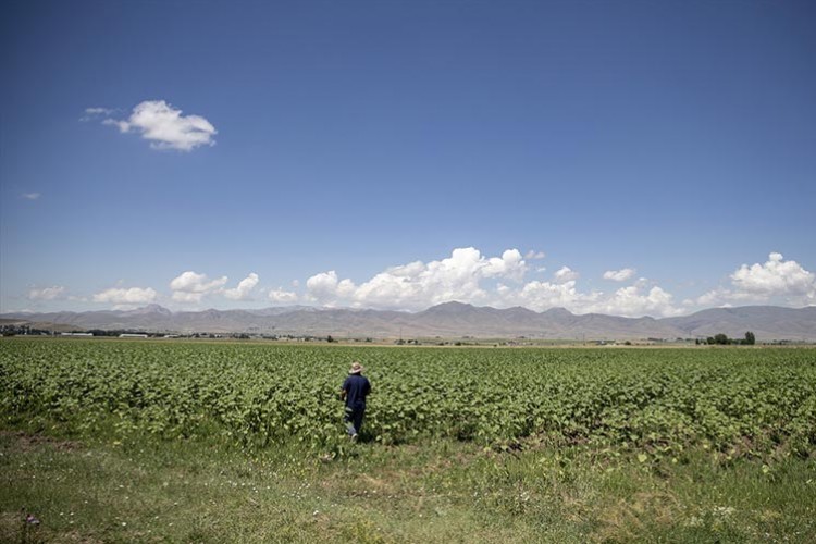 Erzurum'daki çiftçiler yüksek verim bekliyor