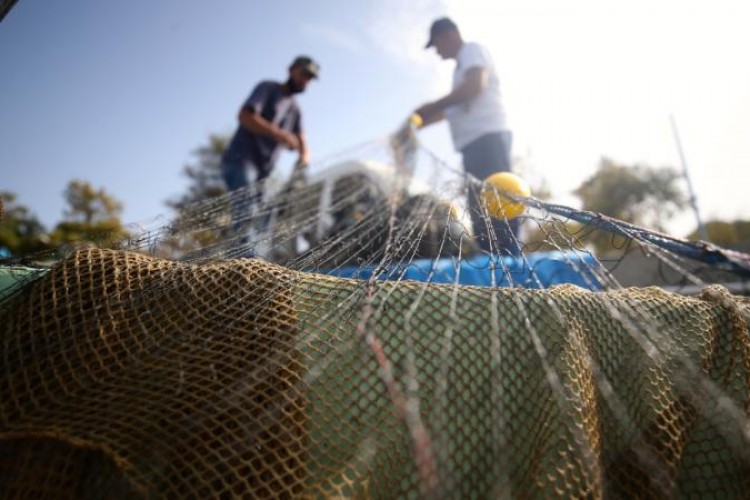 Türkiye balıkçılıkta rekor kırdı