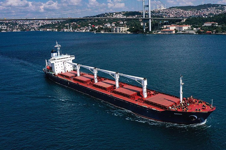 "Tahıl Anlaşması'nda denetim Türkiye'de olsun"