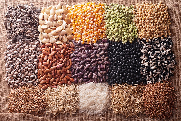 Tohum üretiminde atak