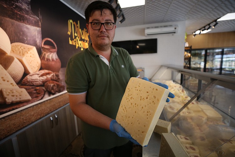 Siyaset bilimi okurken Mihaliç peyniri üreticisi oldu