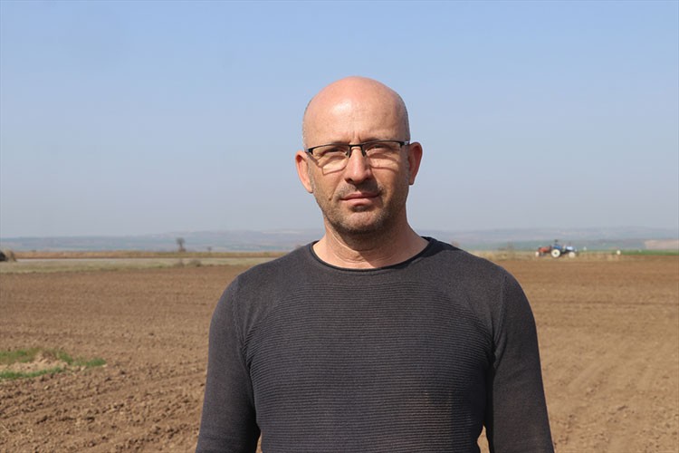 Yağışlar kanolada rekolte umudunu artırdı