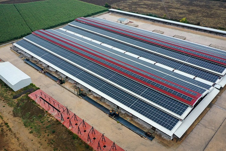 Çatılara kurdukları güneş panelleriyle belediyenin elektrik ihtiyacını karşılıyorlar