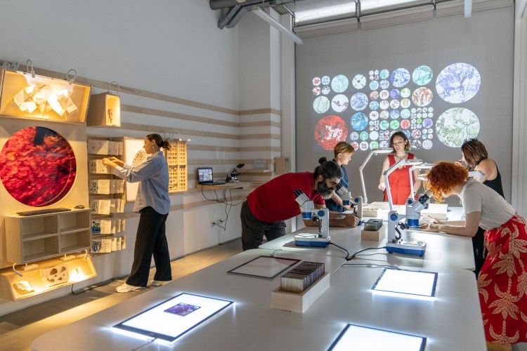 Çağdaş sanatçılar Stüdyo STEAM deneyimini anlatıyor