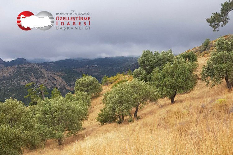 Özelleştirme İdaresi Başkanlığı'ndan cazip imkanlar