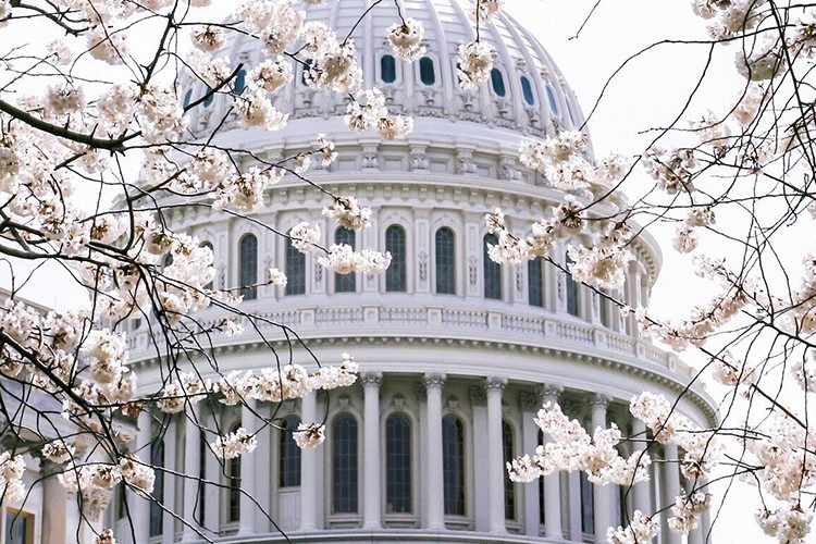 Destek paketi Kongre'den geçti
