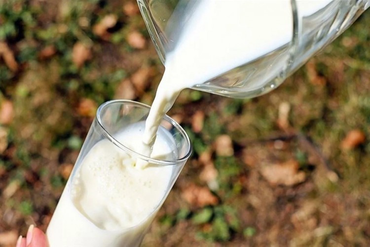 Çiğ süt tavsiye fiyatı 11,5 lira olarak belirlendi