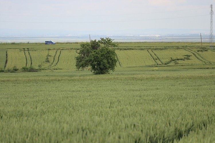 Tarımda veri odaklı üretim modeli girdi kullanımını azaltıyor