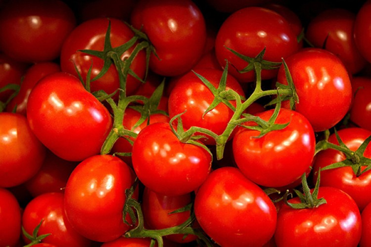 Domatesteki fiyat artışı sürüyor