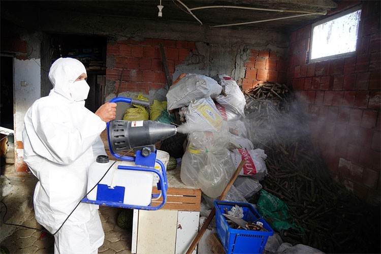 Kahverengi kokarcaya karşı 200 bini aşkın samuray arısı hazır