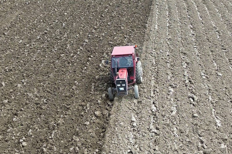 Bafra Ovası'nda yazlık ekim hazırlıkları başladı